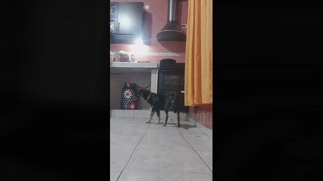 BARBIERIVAS  20-05-2022